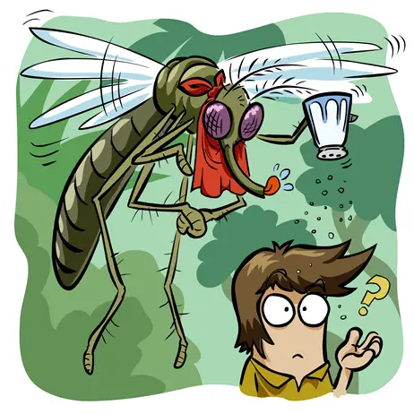 Mythen um Mücken