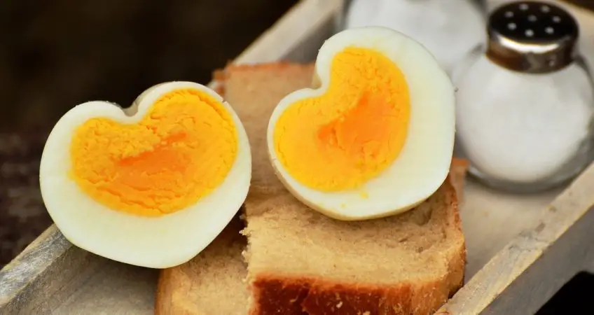 Eier kochen richtig gemacht