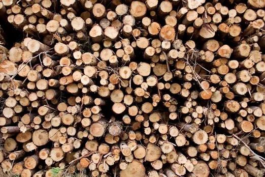 Holz als Rohmaterial für ein Schaukelgestell