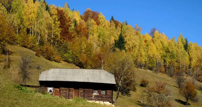 Ein Ferienhaus im Schwarzwald mit Alleinlage