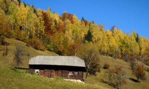 Wo gibt es im Schwarzwald ein Ferienhaus mit Alleinlage?