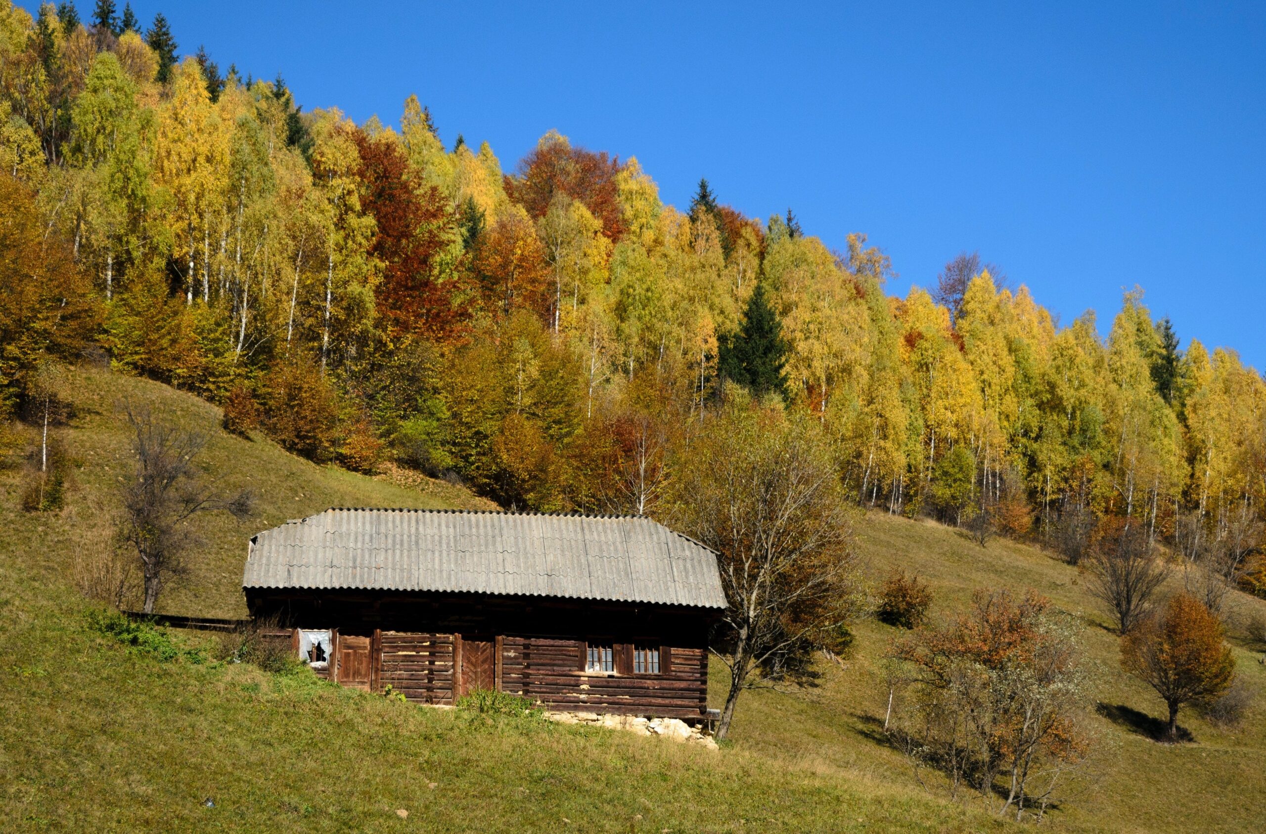 Ein Ferienhaus im Schwarzwald mit Alleinlage