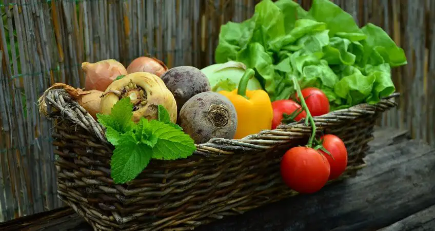 Diverse Gemüsesorten sind basische Lebensmittel